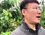 杨二狗和河南女友“2万分手费”反转网红卓越再被揭老底