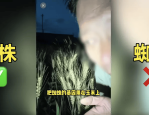 离谱！200万网红抹黑袁隆平育种技术造谣杂交水稻害人